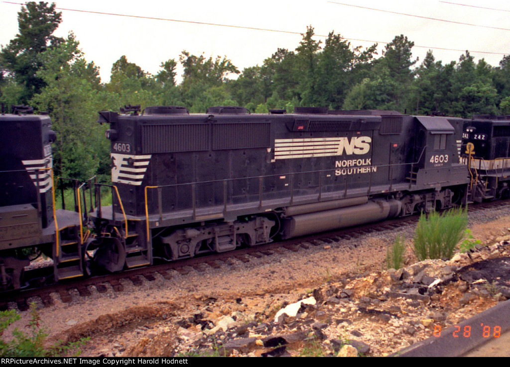 NS 4603